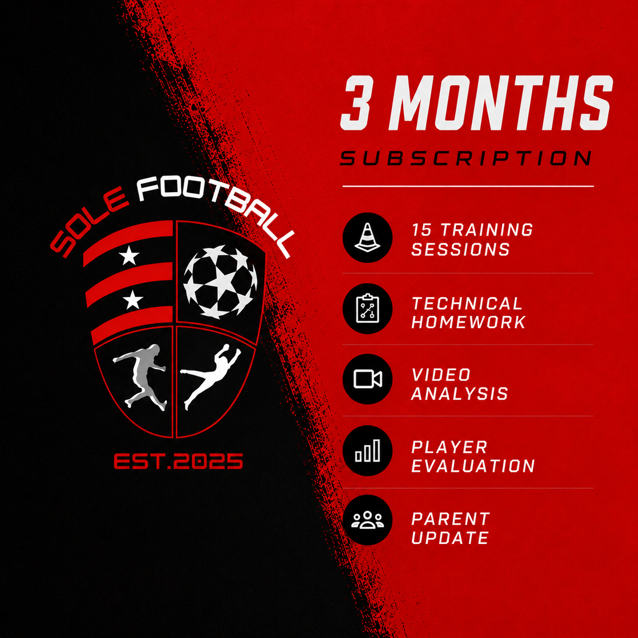 SFT 3 Month Subscription